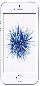 Telefon Apple IPhone SE 64GB Silver - Maxi.az